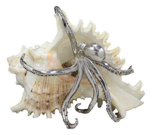 Nautical Marine Silver Giant Sea Octopus On Pretty Striped Sconce Shell Figurine