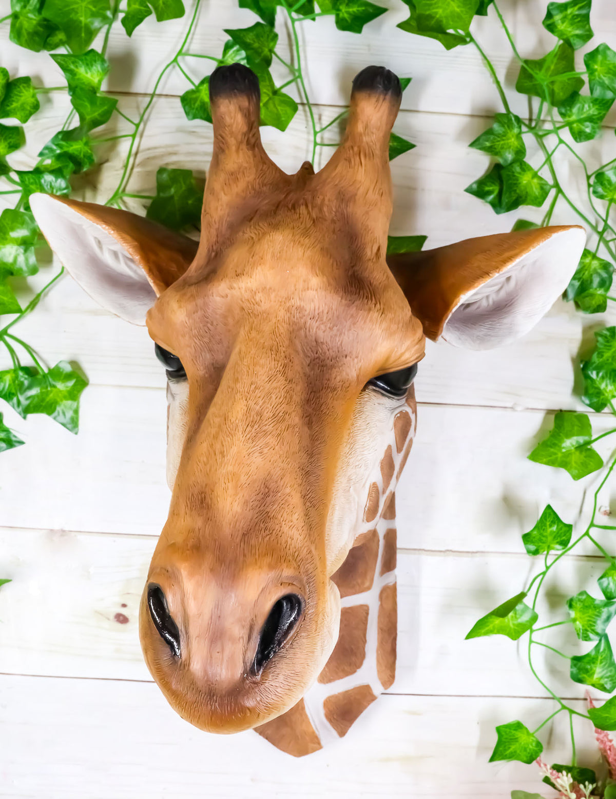 Ebros Safari Giraffe Head Trophy Taxidermy Wall Decor Sculpture Hanging Plaque