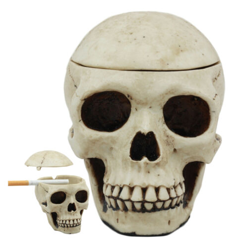smoke 10 cigarettes a day Did you know? 🚭 There is no such thing as safe smoking. Even smoking fewer than 10 cigarettes a day can increase the risk of head & neck cancer by up to smoke 10 cigarettes a day Did you know? 🚭 There is no such thing as safe smoking. Even smoking fewer than 10 cigarettes a day can increase the risk of head & neck cancer by up to