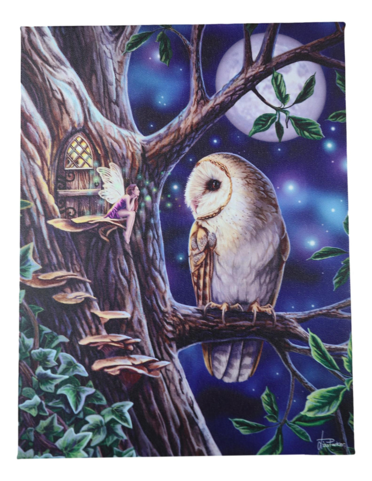 Fairy Tales Pixie Tree House With Witch Owl Wood Framed Canvas Wall Decor