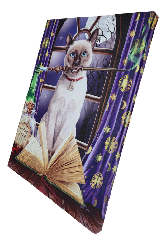 Witch Hocus Pocus Magic Wand Cat With Spellbook Wood Framed Canvas Wall Decor - Ebros Gift