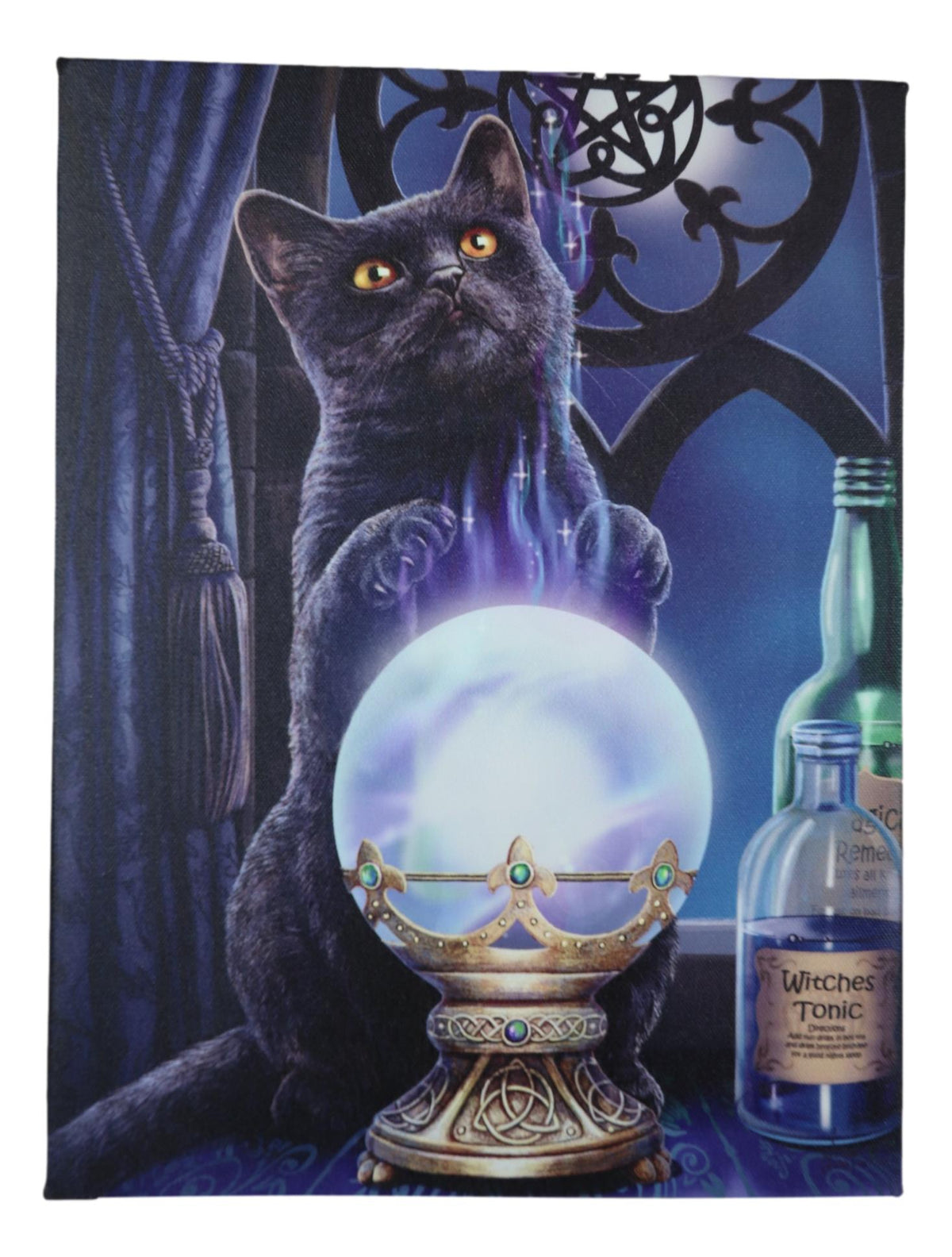 Wicca Witches Apprentice Black Cat By Gazing Ball Wood Framed Canvas Wall Decor