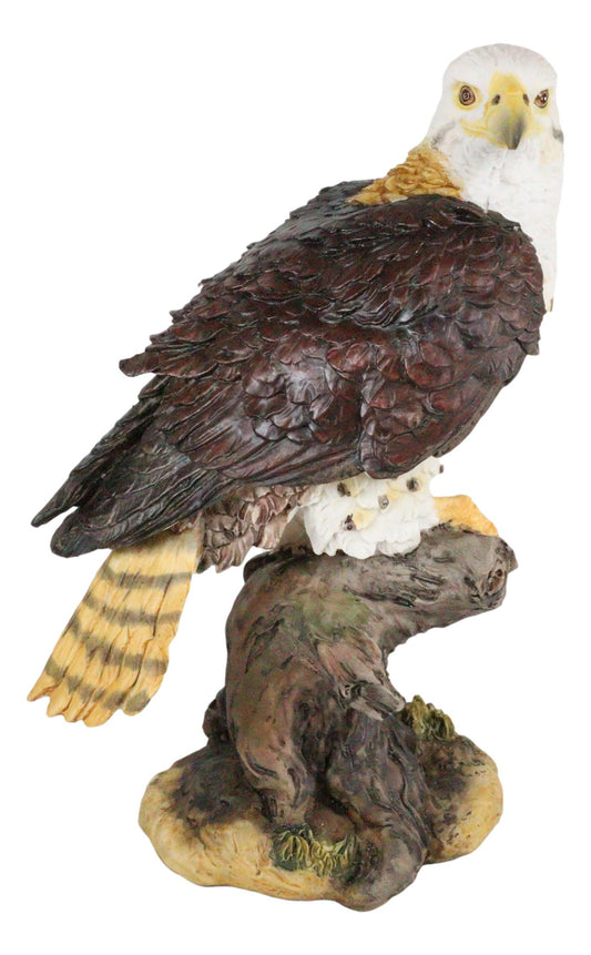 Wildlife Bald Eagle On Tree Stump Statue Birds Of Prey Figurine 10"H - Ebros Gift
