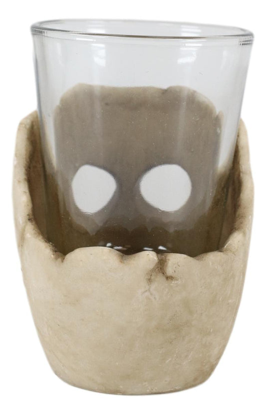 Ebros Grinning Skull Shot Glass Set of 12 Altar of Skulls Skeleton Ossuary Skull