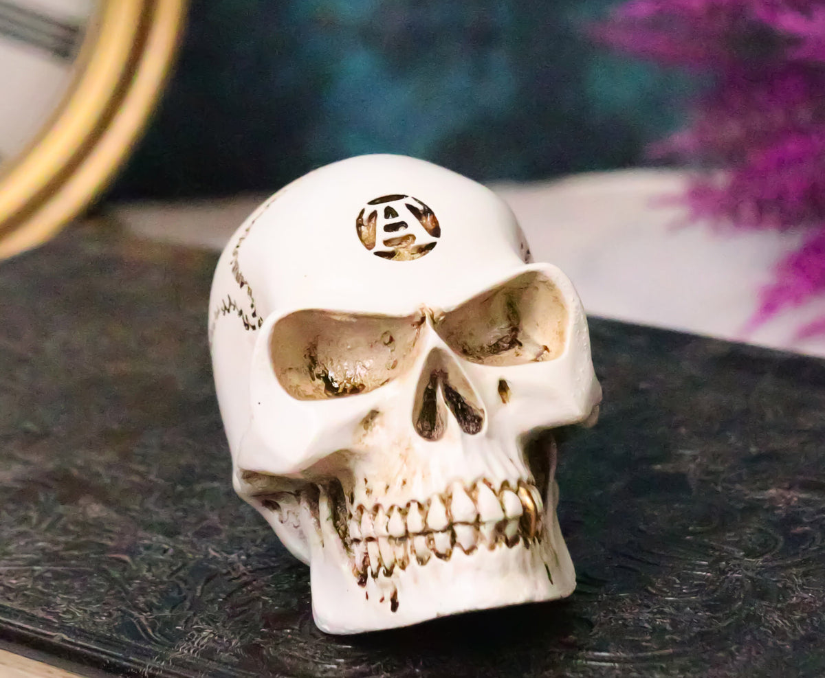 Vault Alchemist Bone Philosophus Magnus Skull Gear Shift Knob Or Paperweight