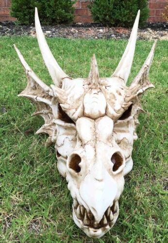 Large Elder Dragon Skull Statue Legendary Erathia Fossil Skeleton 18"L Figurine - Ebros Gift