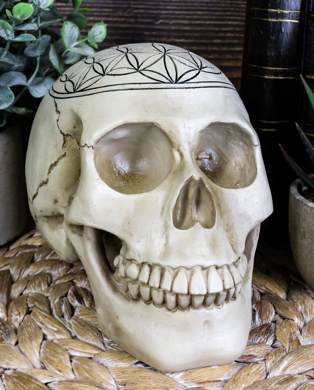Gothic Sacred Geometry Flower Of Life Creation Cosmic Energy Skull Figurine