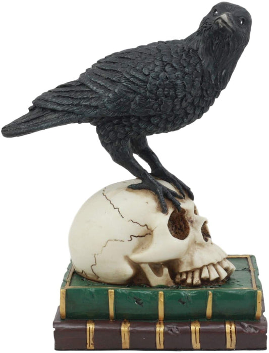 Ebros Dark Raven 7.25"Tall Raven Crow On Skull of Bibliography Figurine - Ebros Gift