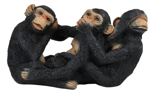 Jungle Rainforest Whimsical See Hear Speak No Evil Monkeys 3 Wise Apes Figurine