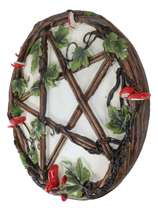 Wicca Toadstool Ivy Leaves Twisted Branches Pentagram Star Wall Decor Plaque