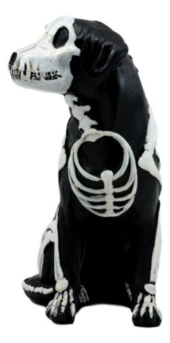 Day Of The Dead Bone Skeleton Dog Statue 7.5"H X-Ray Canine Skeleton Anatomy - Ebros Gift