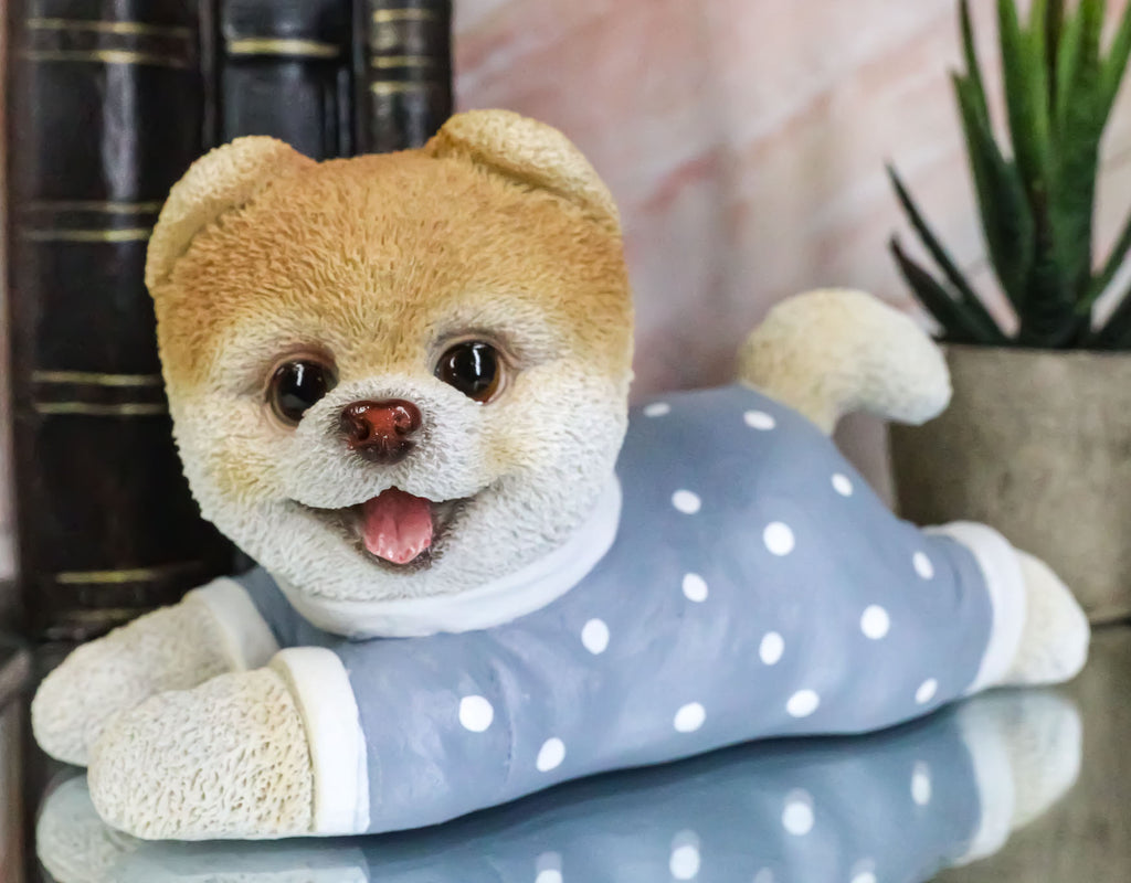Ebros Polkadot Pajamas Boo The World's Cutest Pomeranian Dog