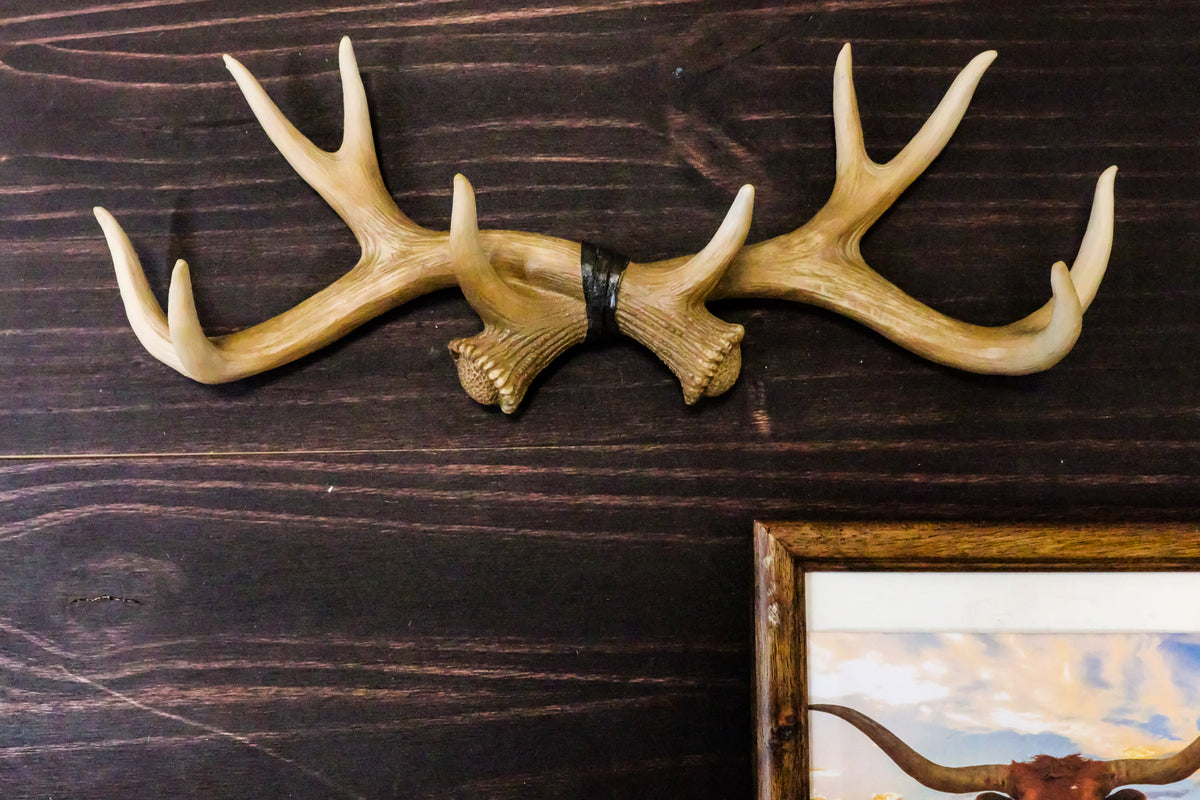 Ebros Brown Rustic 10 Point Stag Deer Antlers Rack Wall Plaque 17"W Coat Hooks