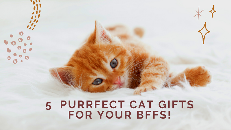 5  Purrfect Cat Gifts For Your BFFs!