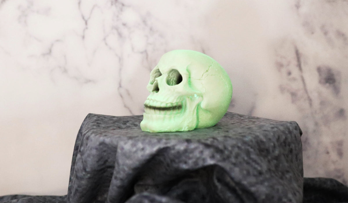 Skull Collection