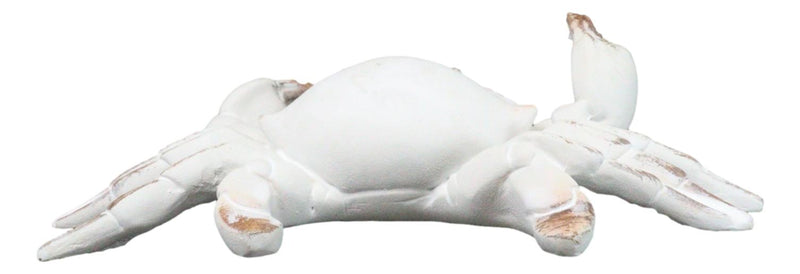 Set Of 6 Antique White Beach Crabs Ocean Marine Wall Hanger Decor Tree Ornaments