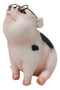 Adorable Realistic Animal Farm Napoleon Fat Piglet Pig Wearing Glasses Figurine