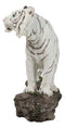 Apex Jungle Predator Prowling Fierce Siberian White Bengal Tiger Figurine