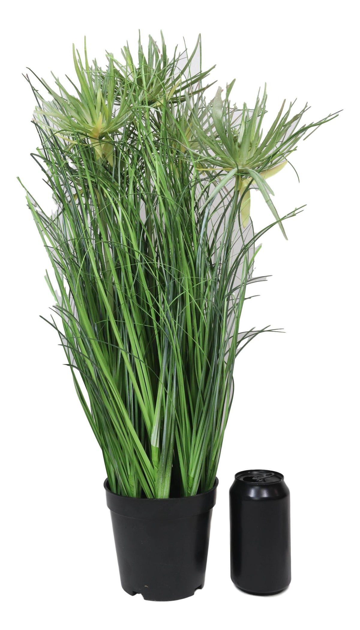 Pack Of 2 Realistic Lifelike Artificial Cyprus Grass Plant In Black Pot Botanica