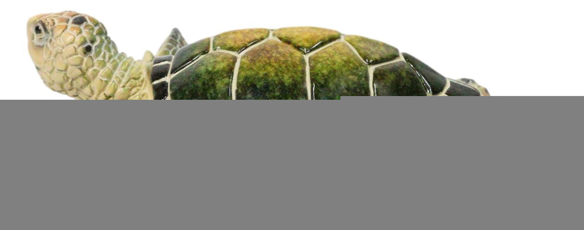 Marine Swimming Green Shell Sea Turtle Decorative Jewelry Trinket Box Figurine