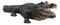Grand Scale Realistic Nile Crocodile Baring Razor Sharp Teeth Garden Statue 30"L