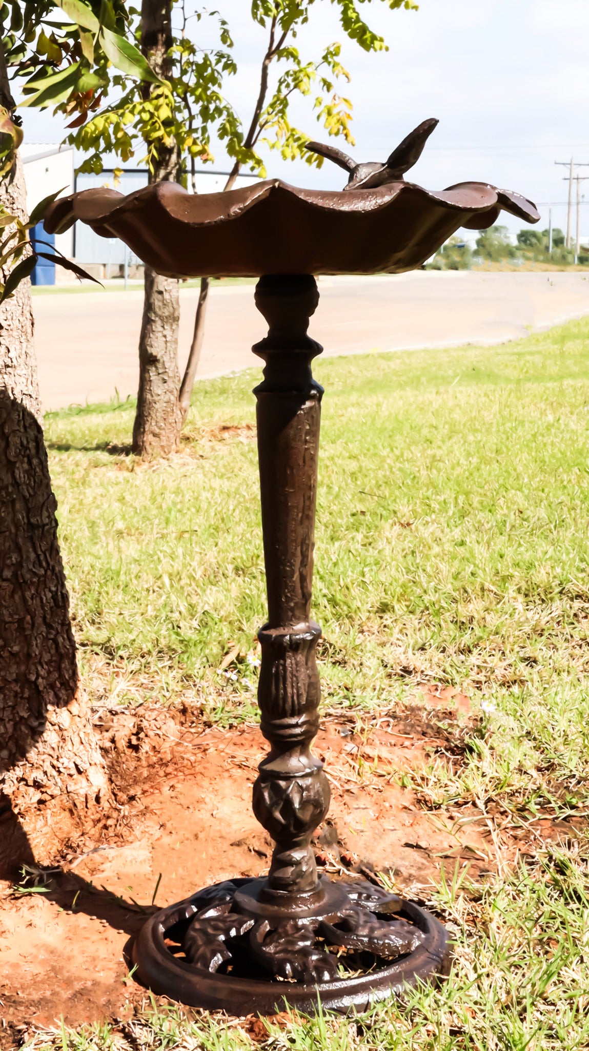 Rustic Cast Iron Hummingbird Perching On Sunflower Garden Bird Feeder Bath 19"H