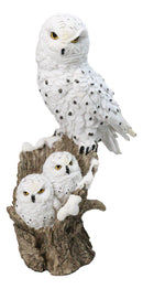 Snowy Owl Mother with Two Owlets Family Figurine on Snow-Covered Tree Stump