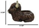 Rustic Western Scottish Highlands Cattle Cow Wine Holder Container Pot Holder 9"
