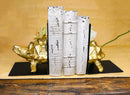 Nautical Marine Turtle Tortoise with Spiked Shell Bookends Sculpture Set 6"H