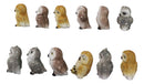 Set Of 12 Colorful Ancient Wisdom Of The Forest Woodlands Owls Mini Figurines