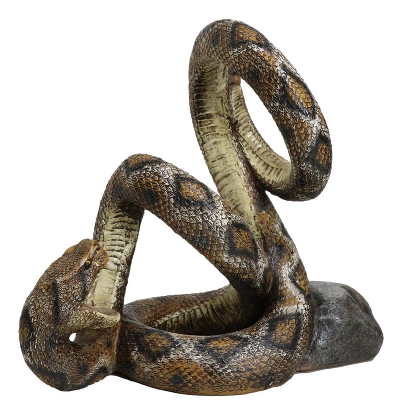 Rustic Western Coiled Diamondback Rattlesnake Snake Wine Bottle Holder Figurine