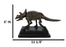 Faux Taxidermy Triceratops Dinosaur Fossil Figurine On Museum Display Base Stand