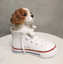 Ebros 'Paw-Star' Pups King Charles Spaniel in Sneaker with Glass Eyes Figurine