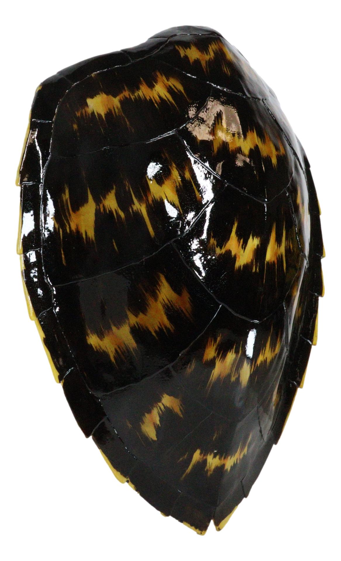 Large Nautical Marine Black Tone Faux Hawksbill Turtle Shell Replica Wall Decor - Ebros Gift