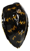 Large Nautical Marine Black Tone Faux Hawksbill Turtle Shell Replica Wall Decor