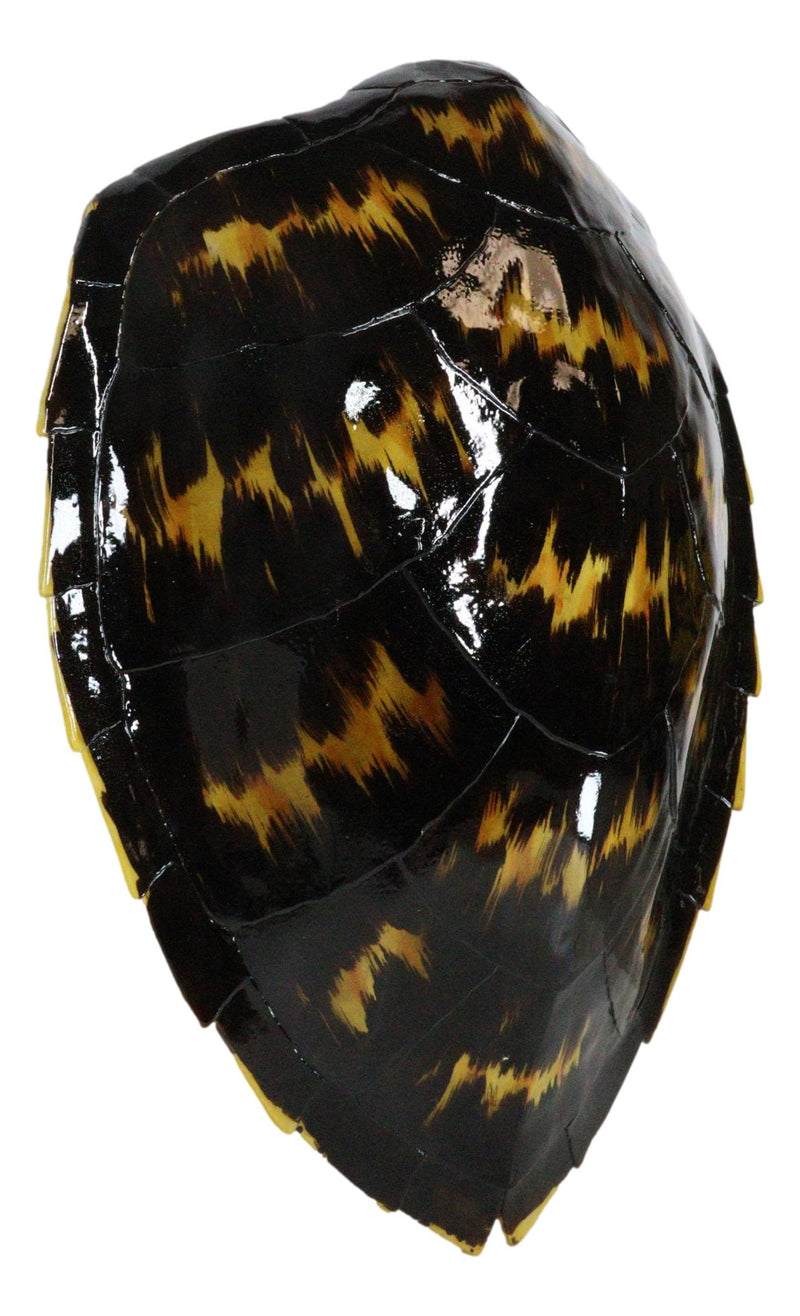 Large Nautical Marine Black Tone Faux Hawksbill Turtle Shell Replica Wall Decor
