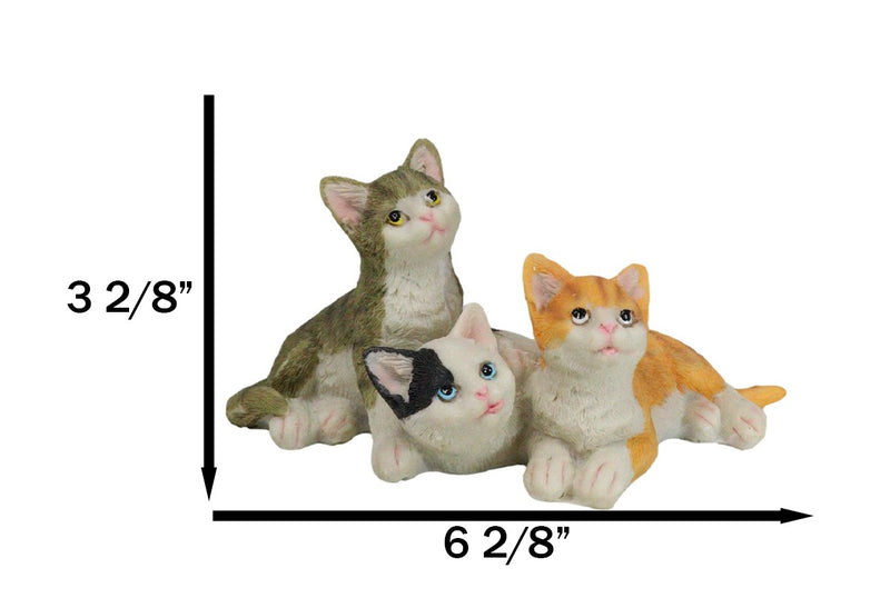Lifelike Adorable 3 Calico Grey Tabby Colorful Kitten Cats Cuddling Figurine