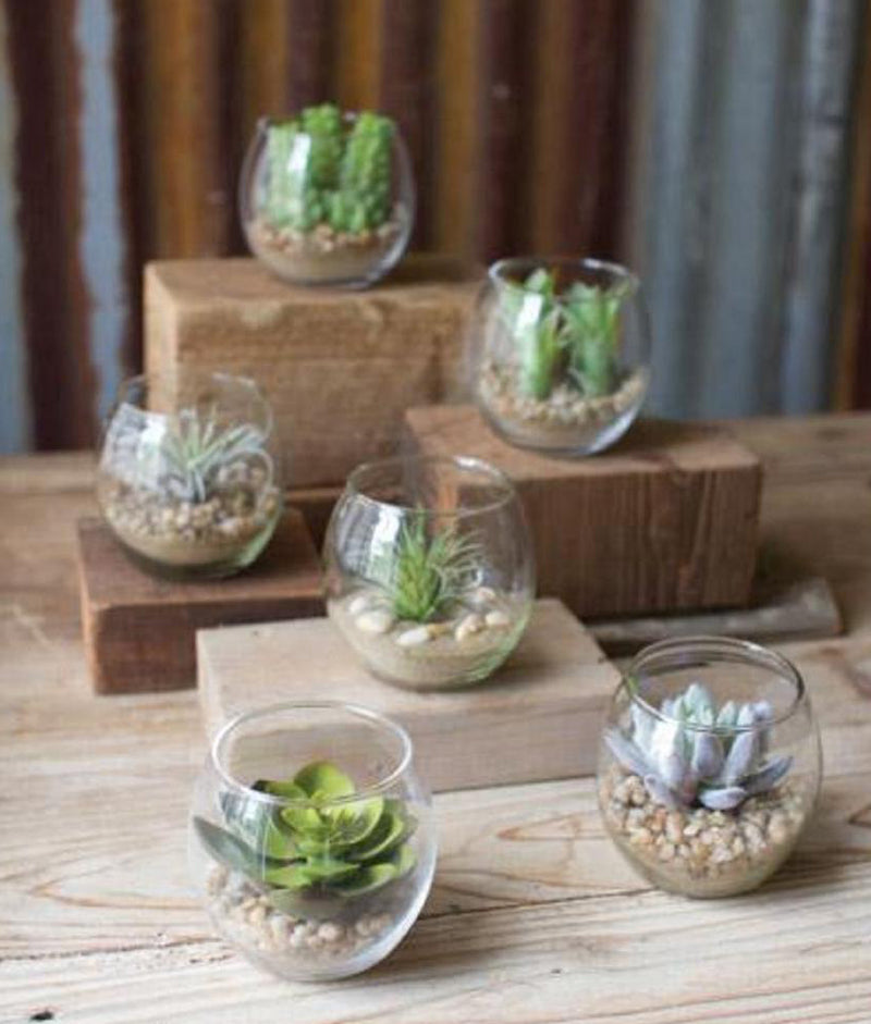 Set Of 6 Realistic Artificial Botanica Succulents Plants In Round Glass Pots