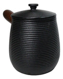Kyusu Style Side Handle Spirals Cast Iron Teapot 18oz With Enameled Interior