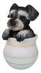Adorable Grey Mini Schnauzer Puppy Dog Figurine With Glass Eyes Pup In Pot