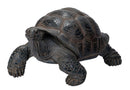 Realistic Marine Lifelike Galapagos Giant Tortoise Turtle Large Statue 18"L