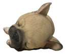 Realistic Adorable French Bulldog Dog Puppy Sleeping Figurine 6.75"Long