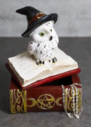 White Snow Owl With Witch Hat Sitting On Triple Moon Spell Book Trinket Box