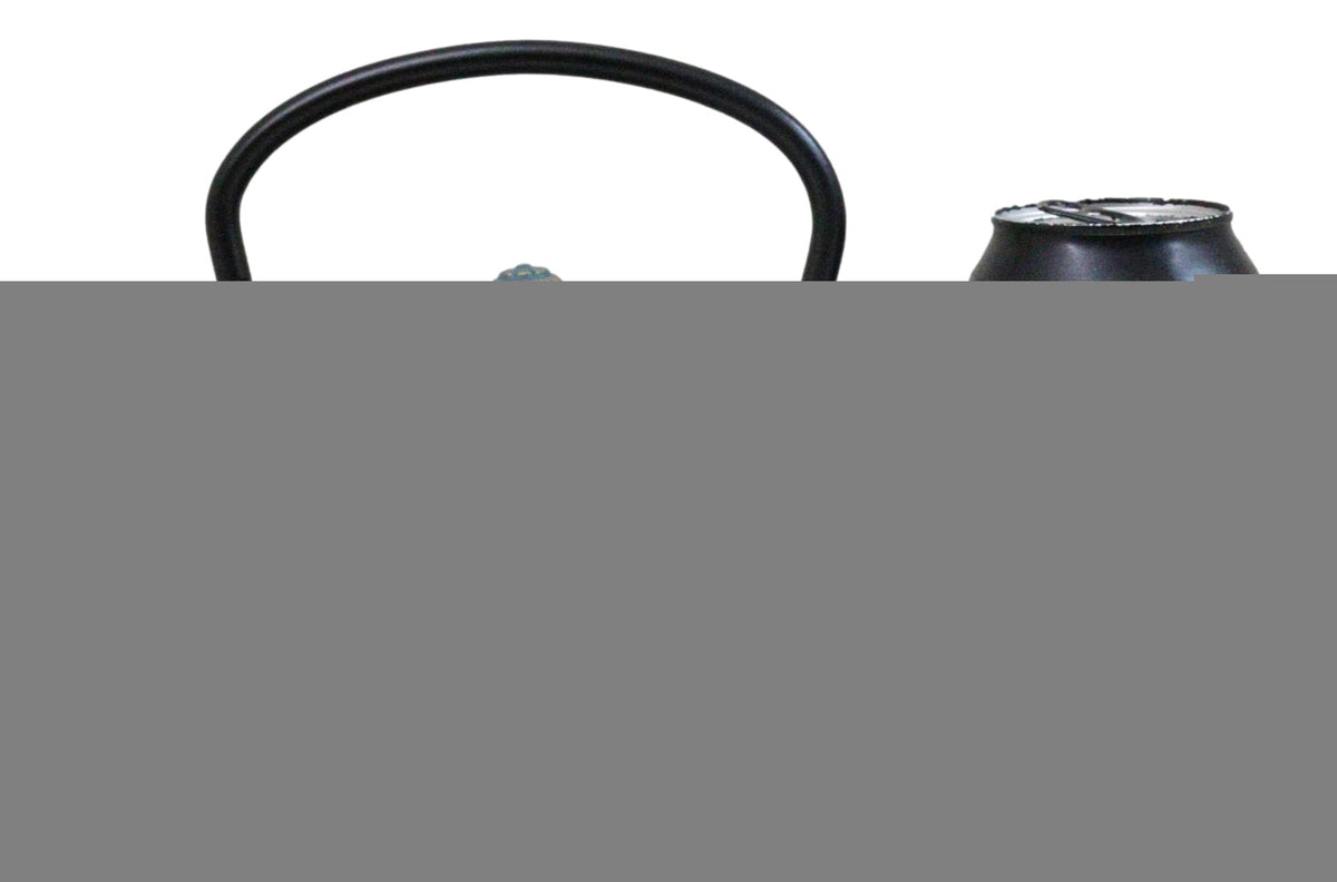 Traditional Oriental Tetsubin Maple Leaves Momiji Design Cast Iron Teapot 40oz