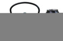 Traditional Oriental Tetsubin Maple Leaves Momiji Design Cast Iron Teapot 40oz