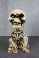 Gothic Macabre Grinning Grave Squatter Skeleton Skull Bobblehead Figurine