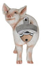 Rustic Western Farm Babe Swine Pig Rear Butt Backside Wall Bottle Cap Opener