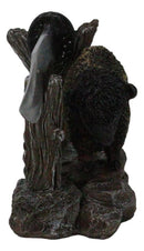Rustic Western Native Bison Buffalo Stainless Steel Knife Letter Opener Set