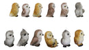 Set Of 12 Colorful Ancient Wisdom Of The Forest Woodlands Owls Mini Figurines