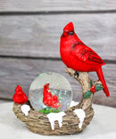 Red Cardinal Bird On Tree Branch Nest With Chicks Water Globe Mini Figurine